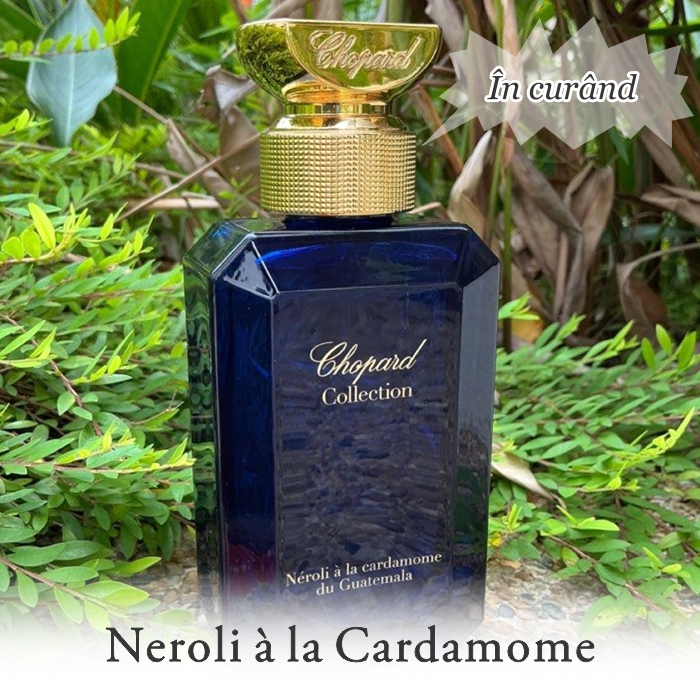 Subrand2_NeroliCardamom2